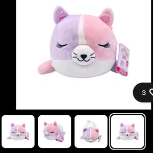 Squishmallows Colette the Cat Plush NWT